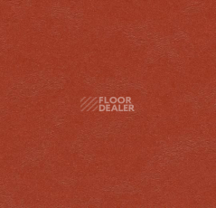 Линолеум Forbo Marmoleum Decibel on Order 335235 Berlin red фото 1 | FLOORDEALER